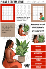 Plant a Dream Kit Collection
